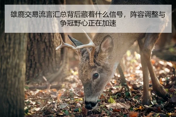 xiong-lu-jiao-yi-liu-yan-hui-zong-bei-hou-cang-zhe-shen-me-xin-hao-zhen-rong-tiao-zheng-yu-zheng-guan-ye-xin-zheng-zai-2-691.jpg