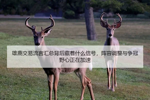 xiong-lu-jiao-yi-liu-yan-hui-zong-bei-hou-cang-zhe-shen-me-xin-hao-zhen-rong-tiao-zheng-yu-zheng-guan-ye-xin-zheng-zai-3-507.jpg